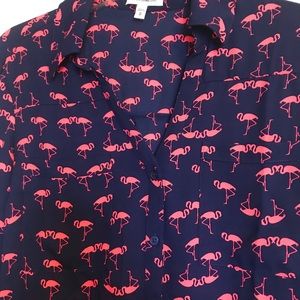 Express portofino blouse